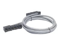 APC Data Distribution Cable - Verkon kaapeli - TAA-yhdenmukainen - RJ-45 (naaras) to RJ-45 (naaras) - 3.4 m - UTP - CAT 5e - riser - harmaa DDCC5E-011
