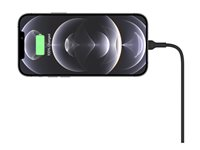 Belkin BoostCharge - Auton langaton latausteline + auton virtasovitin - 10 watti(a) - musta malleihin Apple iPhone 12, 12 mini, 12 Pro, 12 Pro Max, 13, 13 mini, 13 Pro, 13 Pro Max WIC004BTBK
