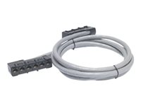 APC Data Distribution Cable - Verkon kaapeli - TAA-yhdenmukainen - RJ-45 (naaras) to RJ-45 (naaras) - 5.7 m - UTP - CAT 5e - riser - harmaa DDCC5E-019