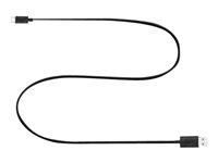 Bang & Olufsen - USB-kaapeli - USB (uros) to USB-C (uros) - 1.25 m - musta malleihin Beolit 17; BeoPlay A1, A2, E8, E8 2.0, H4 2nd, H8i, H9, H9i, P2, P6 1974901