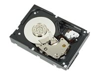 Dell - Kiintolevyasema - 1 Tt - sisäinen - 3.5" - SATA 6Gb/s - 7200 kierrosta/min malleihin PowerEdge T130 (3.5"), T30 (3.5"), T330 (3.5"), T430 (3.5") 400-AUPW