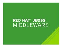 JBoss Data Grid - standarditilaus (3 vuotta) - 4 ydintä MW00131F3