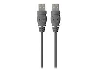 Belkin - USB-kaapeli - USB (uros) to USB (uros) - USB 2.0 - 1.8 m F3U131BT1.8M