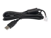 APC - USB-kaapeli - USB (uros) to RJ-45 (10-nastainen) (uros) - 1.8 m - musta malleihin Back-UPS LS 500 AP9827